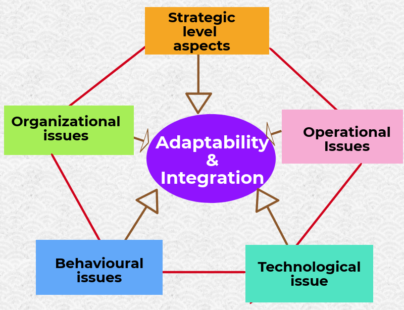 custom software development